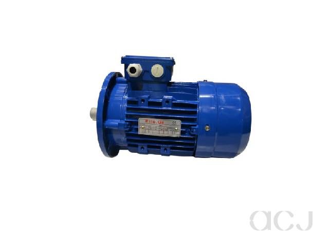 MOTOR 22 KW ROLLER COMPATIBLE WITH JENSEN